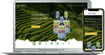 Web Design Porfolio: Alveo Canada